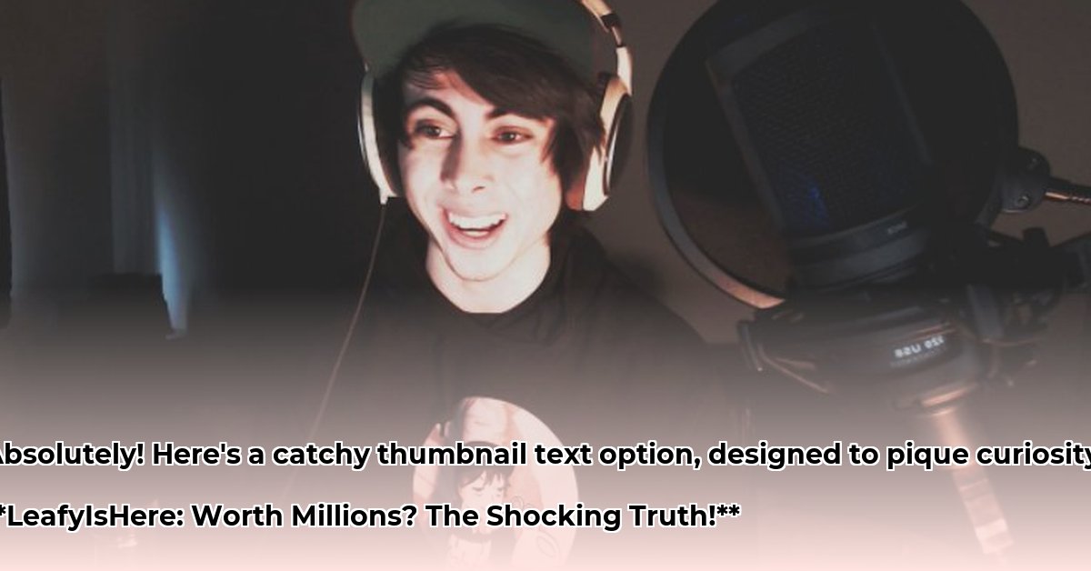 leafyishere-net-worth